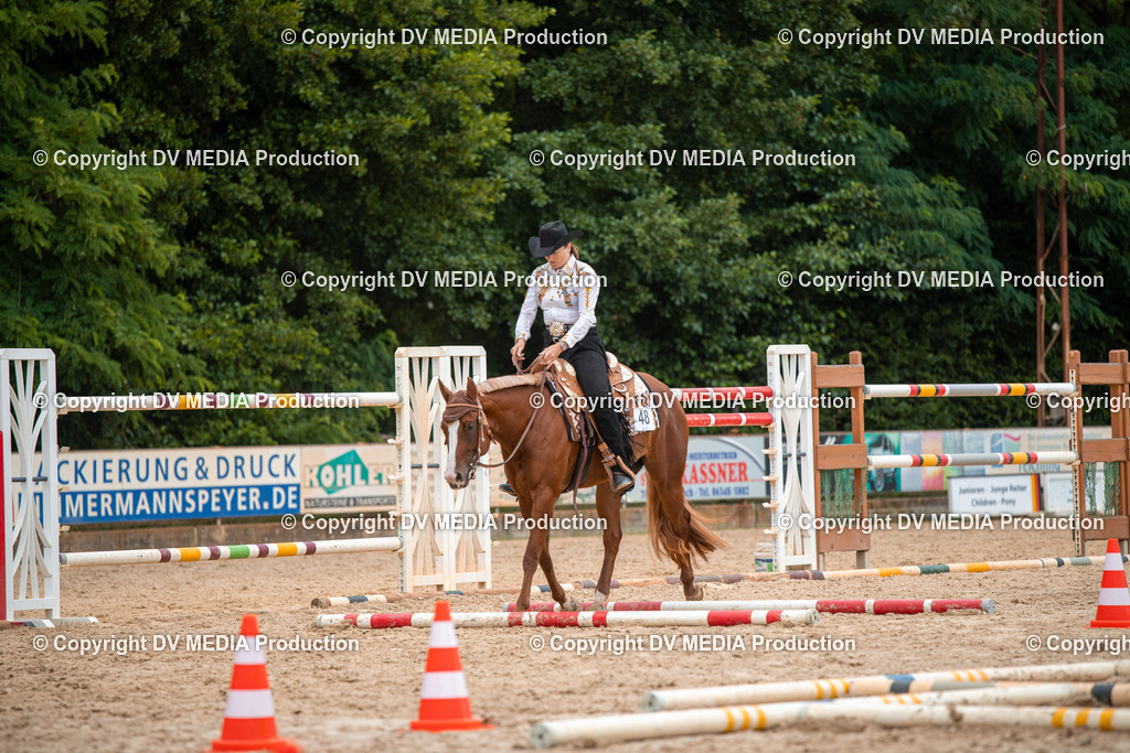 ZS2_8009 | dv-media-shop - Realisiert mit Pictrs.com