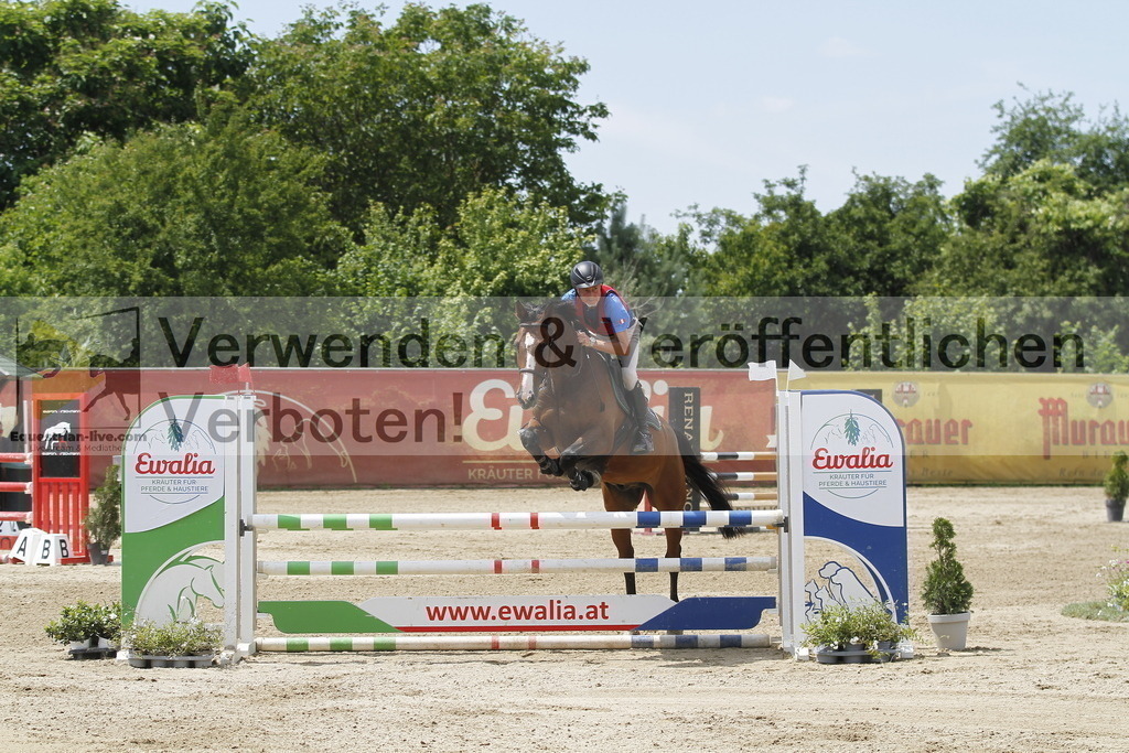 _MG_5609 | equestrian-live-com