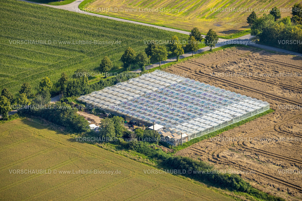 Beckum230804543 | Luftbild, Gewächshaus Gärtnerei Mertens, Beckum, Münsterland, Nordrhein-Westfalen, Deutschland