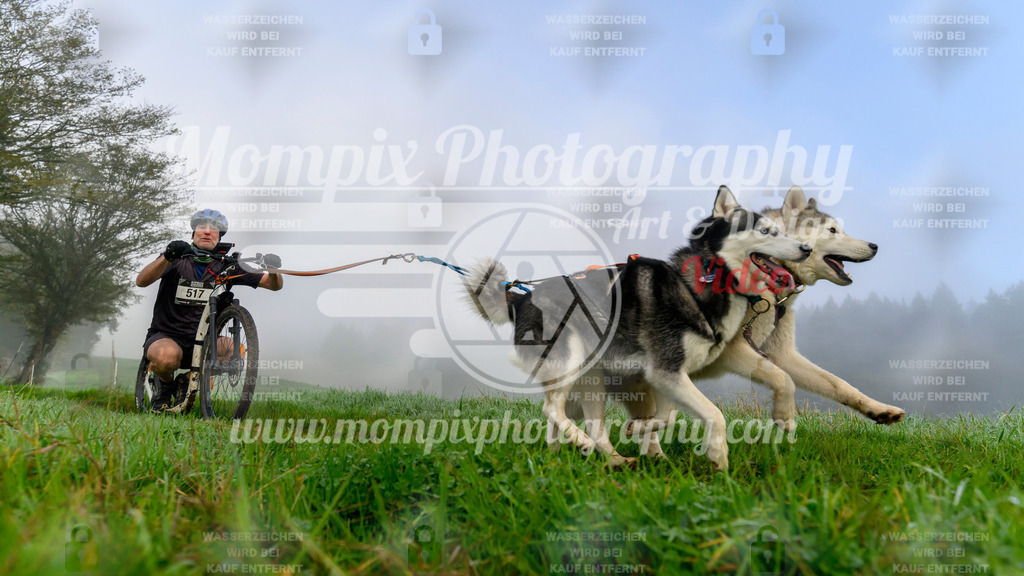 MompixPhotography_20TSB_E5_DS2-21 | PayLife
