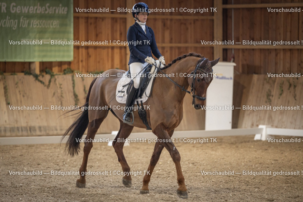 _D5A1167 | Emotionale Pferde- & People-Fotografie rund um Heidelberg, Leimen & Umgebung. Natürliche Fotos von Pferd, Mensch & Familie. Jetzt Termin sichern!