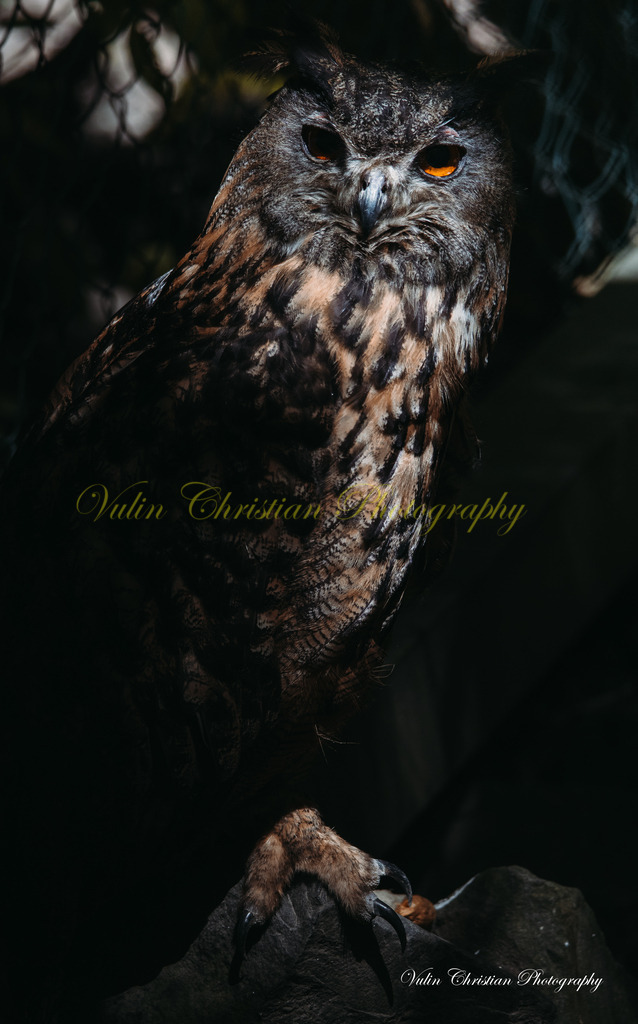 PH 2 | Christian Vulin  - Realisiert mit Pictrs.com