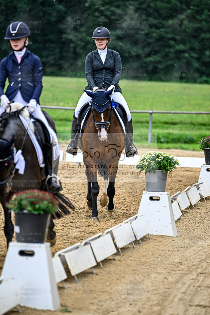 Reitturnier Hasbergen | Entdecke hochwertige Reitturnierfotos von Foto Oger. Professionell, emotional und authentisch – jetzt Lieblingsmomente im Shop bestellen. - Realisiert mit Pictrs.com