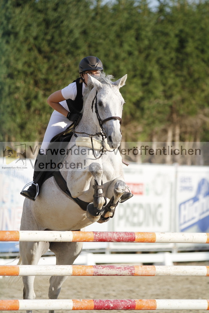 _MG_6403 | equestrian-live-com