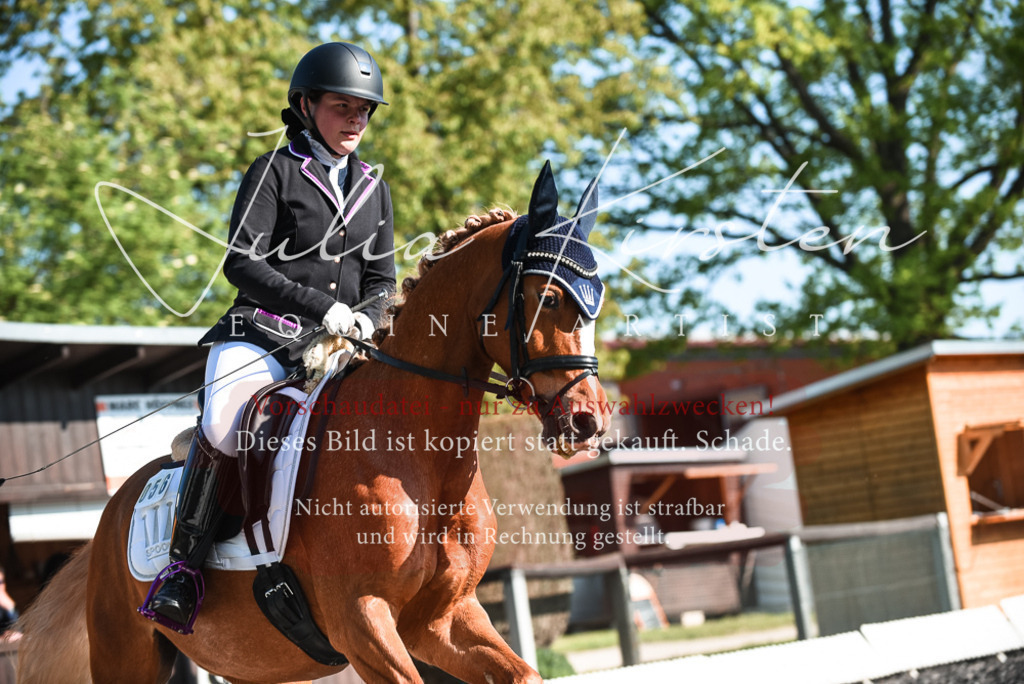 DSC_8431 | Pferde- und Turnierfotografie in Westsachsen. Pferdeportraits, Auftragszeichnungen und intuitive Kunst.