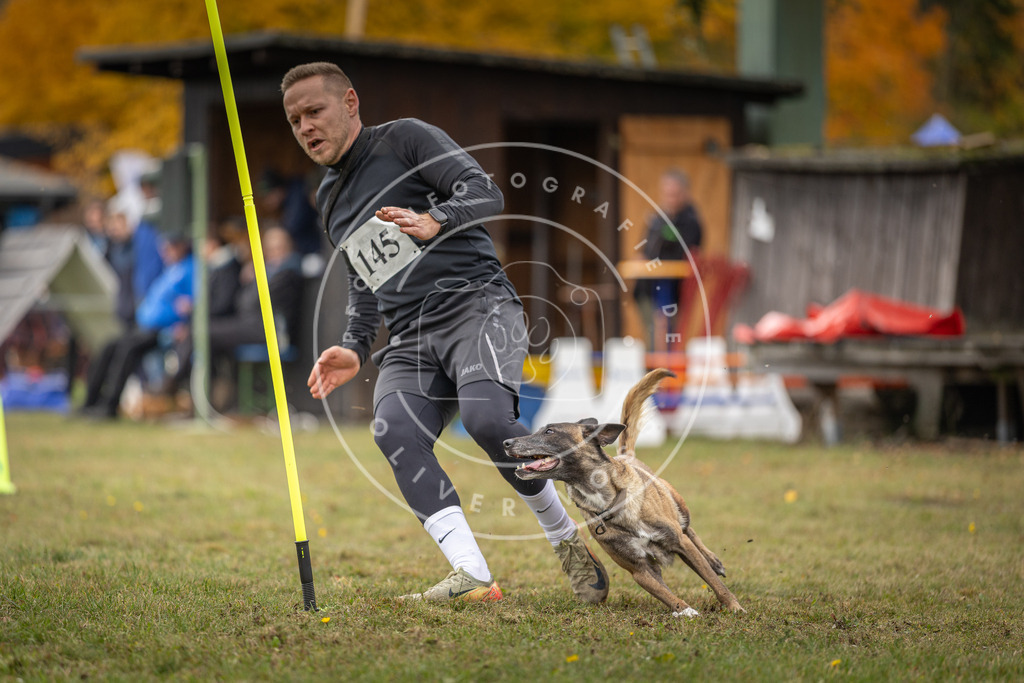 Pfotenfotografie_DV3A7801 | Hundefotografie, Tierfotograf, Pfotenfotografie, Fotoshooting Hund, Hunde Portrait, Hundesport, Hundeportraits, Heideshooting, Hunde, Sportfotograf, Hundefotograf, Turnierhundsport, THS,  - Realisiert mit Pictrs.com