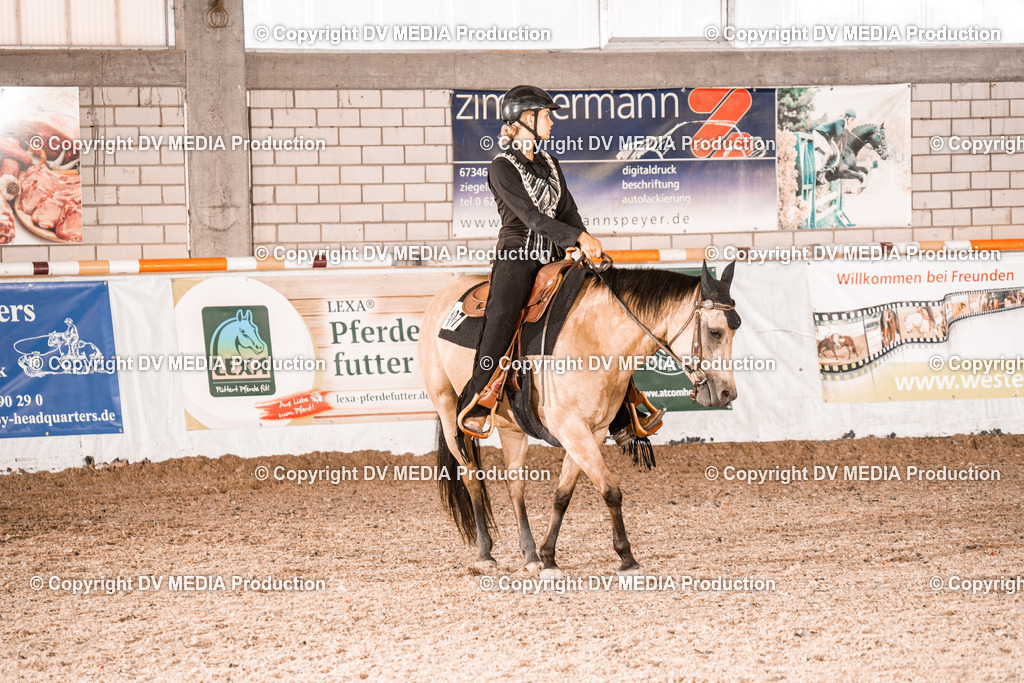 ZH100108 | dv-media-shop - Realisiert mit Pictrs.com