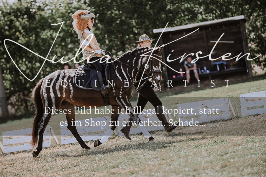 DSC_9155 | Pferde- und Turnierfotografie in Westsachsen. Pferdeportraits, Auftragszeichnungen und intuitive Kunst.