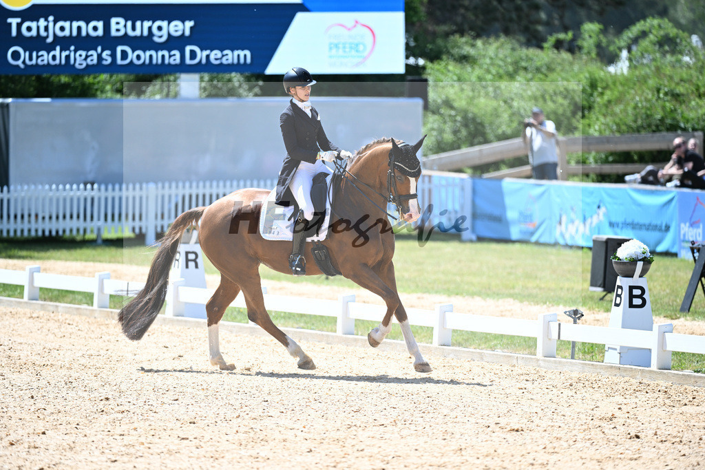 Burger_Quadrigas Donna Dream_11253004 | hf-fotografie - Realisiert mit Pictrs.com