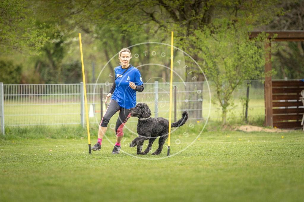 Pfotenfotografie_DV3A0088 | Hundefotografie, Tierfotograf, Pfotenfotografie, Fotoshooting Hund, Hunde Portrait, Hundesport, Hundeportraits, Heideshooting, Hunde, Sportfotograf, Hundefotograf, Turnierhundsport, THS,  - Realisiert mit Pictrs.com