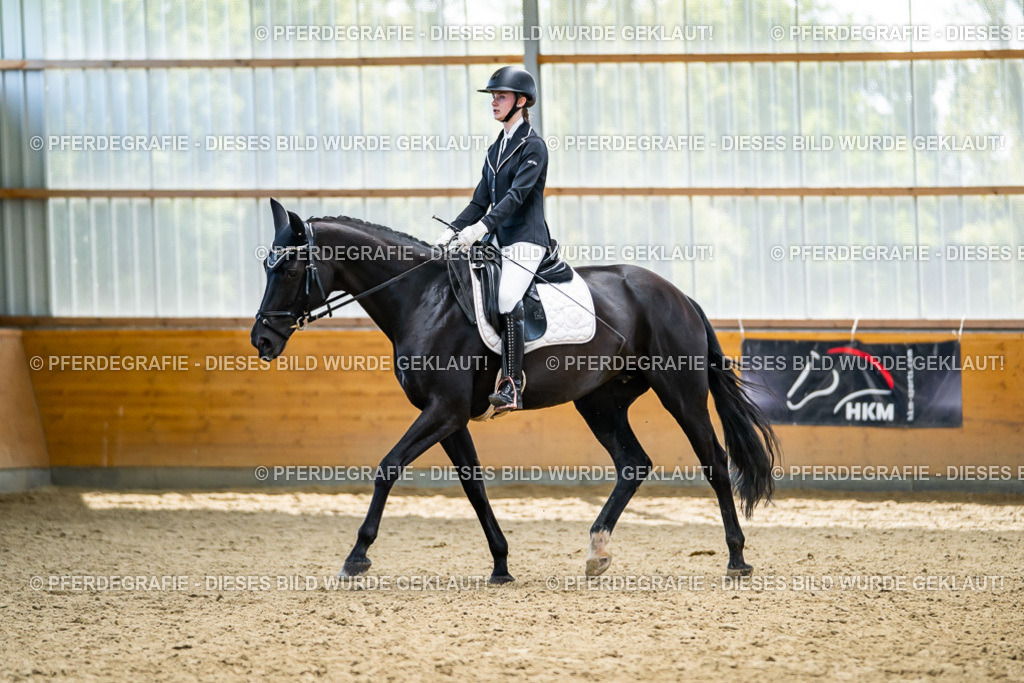 DSC05851 | Pferdegrafie