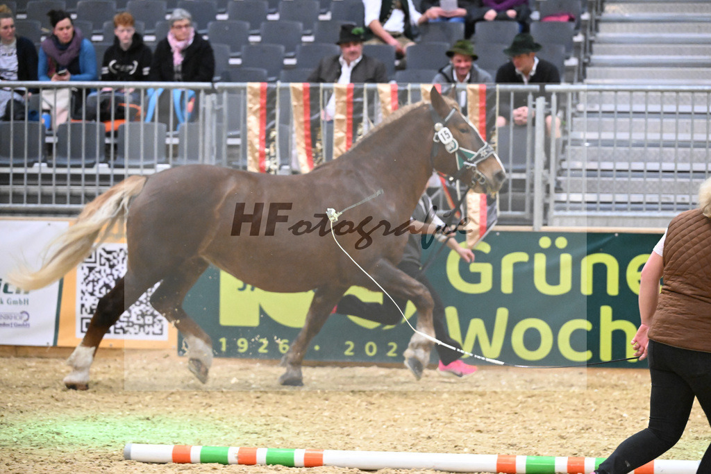 Kat-Nr. 15 Edelfee v. Vestus_Strauss_1260245 | hf-fotografie - Realisiert mit Pictrs.com