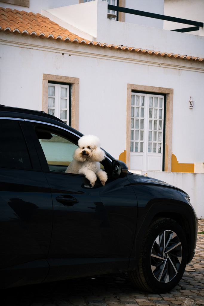 _DSC1827 | In meinem Onlineshop biete ich nur sehr kritisch ausgewählte Fotografien an. Diese sind von meinen Reisen oder Kurztrips. Ich habe sie ausgewählt, da diese meiner Meinung Nach wunderbare Wandbilder darstellen.  - Realisiert mit Pictrs.com