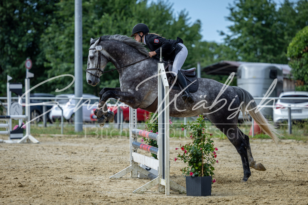 20260704-_3LI6925 | Tierfotografie Pferde, Hunde, Katzen, Haustiere.
Turnierfotografie Reitturniere, Reiten, Springreiten, Dressur in Hanau, dem Main-Kinzig-Kreis und dem Rhein-Main- Gebiet um Frankfurt