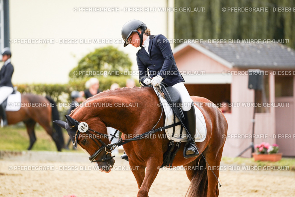 DSC09841 | Pferdegrafie