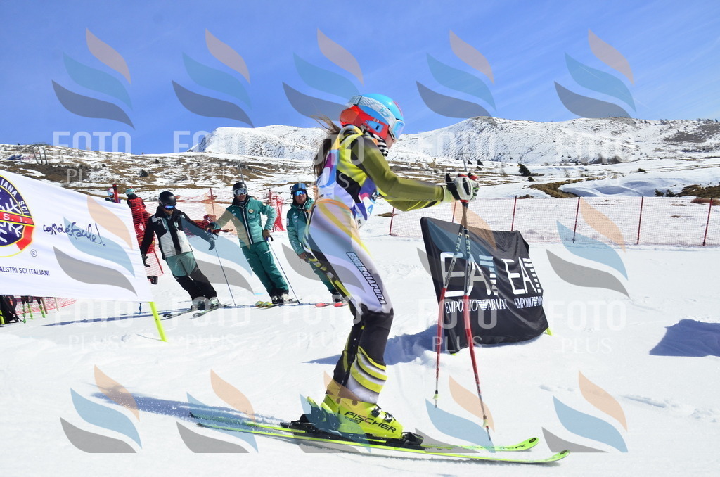 _ELE0109 | holidayphoto