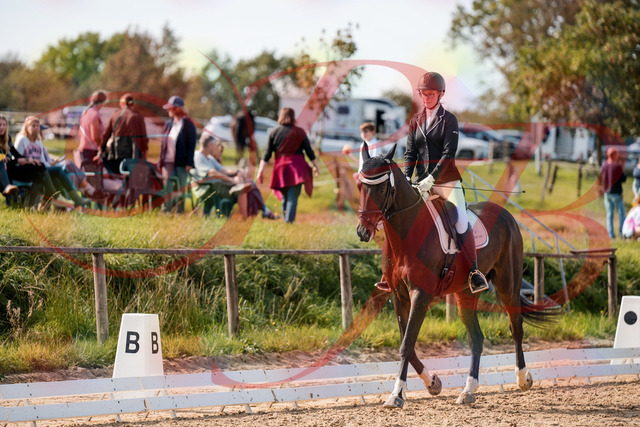 2026_10_03_Siefer-Hof_132134_Z63_83240580 | Professionelle Reitsport-, Turnier- und Eventfotografie von Robert Broda. Galerien mit ausgewählten und bearbeiteten Bildern direkt online ansehen und bestellen.