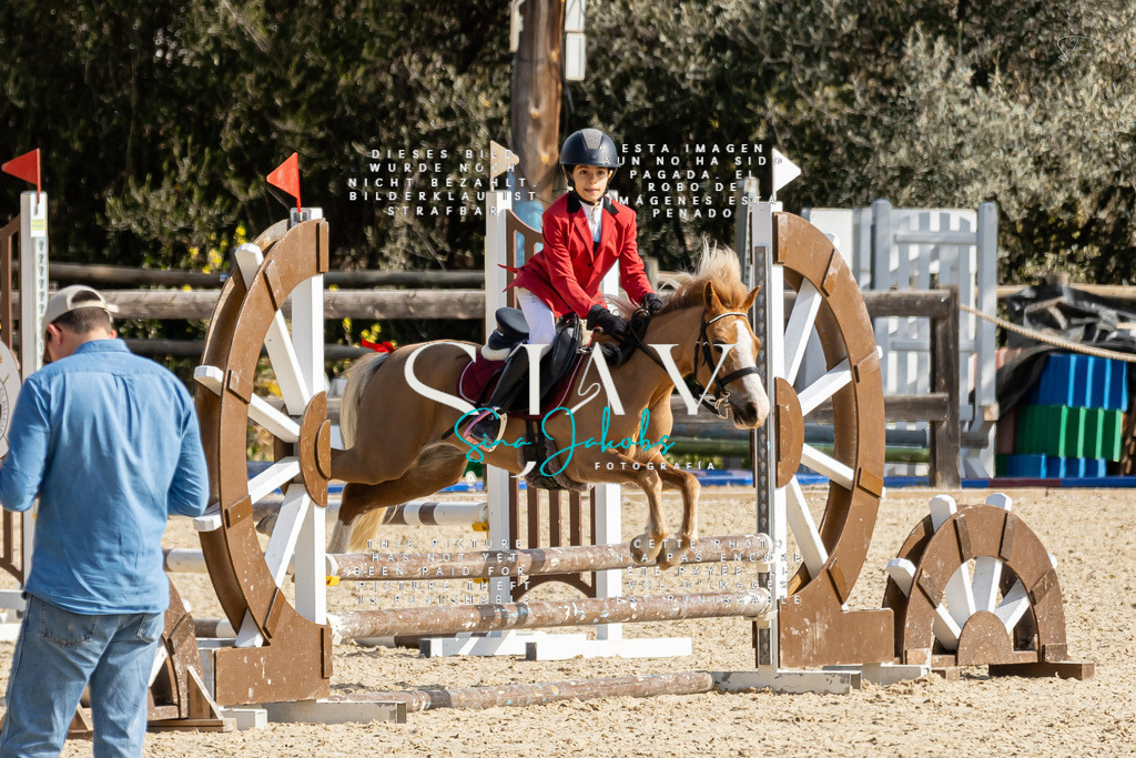 IMG_4351 | s-jay-photography - Realisiert mit Pictrs.com