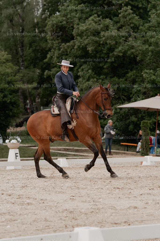 WE_DR_Stoib_313_PI2025_281 | Pferd International München 2025