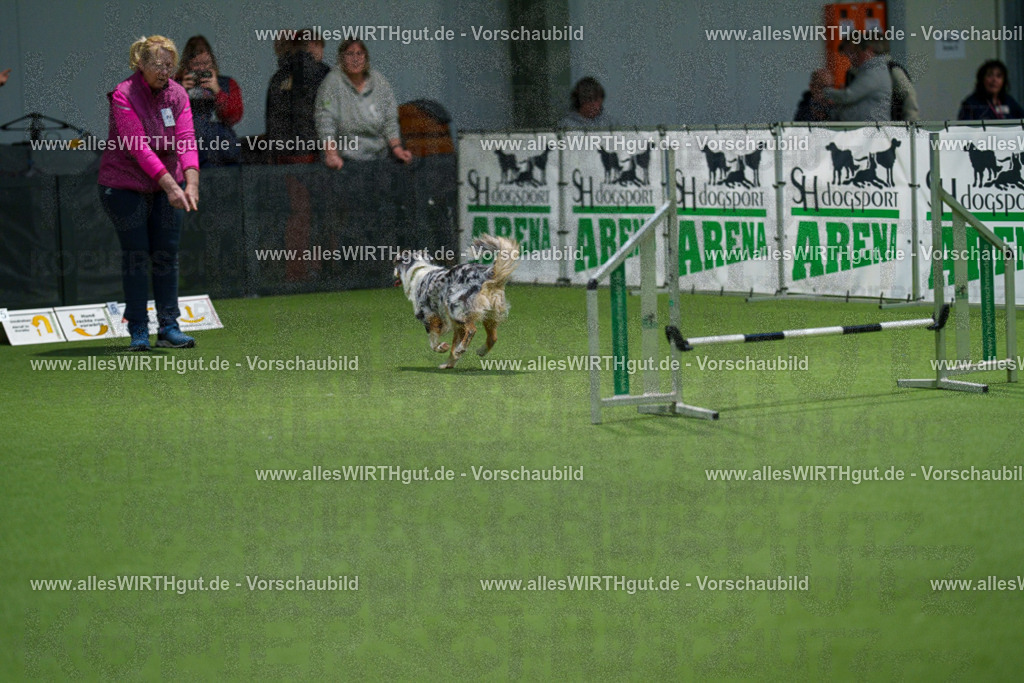 7R504085 | Professionelle Tierfotografie in Mönchengladbach von Daniel Wirth (allesWIRTHgut). Liebevolle & natürliche Bilder von Hunden & Katzen für unvergessliche Erinnerungen.
