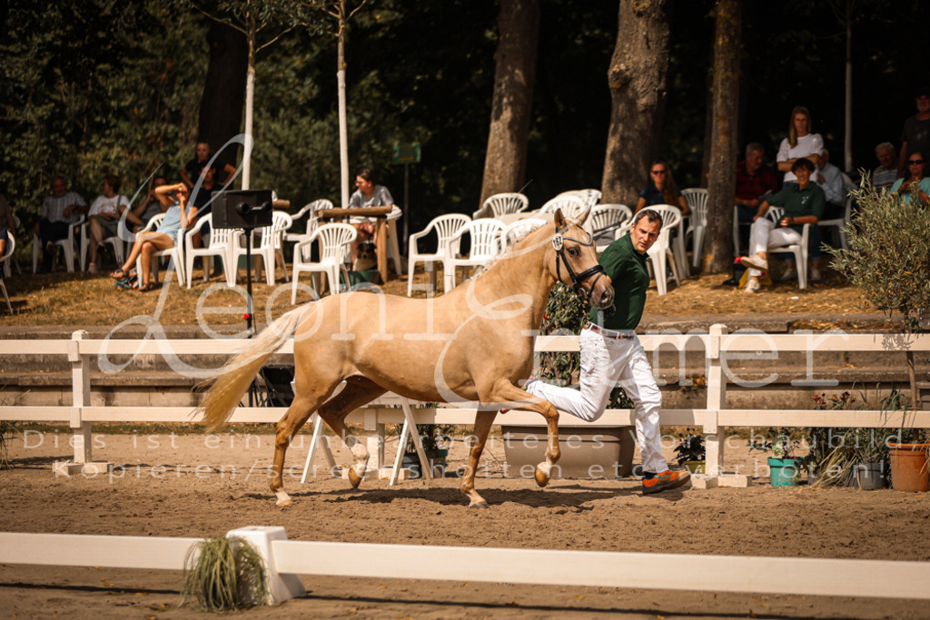 11.So00097 | Leoni Ertmer Photography - Realisiert mit Pictrs.com