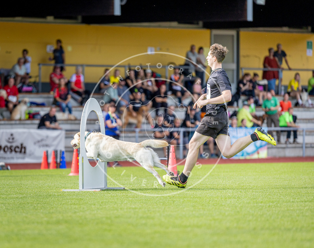 Pfotenfotografie_DV3A1142 | Hundefotografie, Tierfotograf, Pfotenfotografie, Fotoshooting Hund, Hunde Portrait, Hundesport, Hundeportraits, Heideshooting, Hunde, Sportfotograf, Hundefotograf, Turnierhundsport, THS,  - Realisiert mit Pictrs.com
