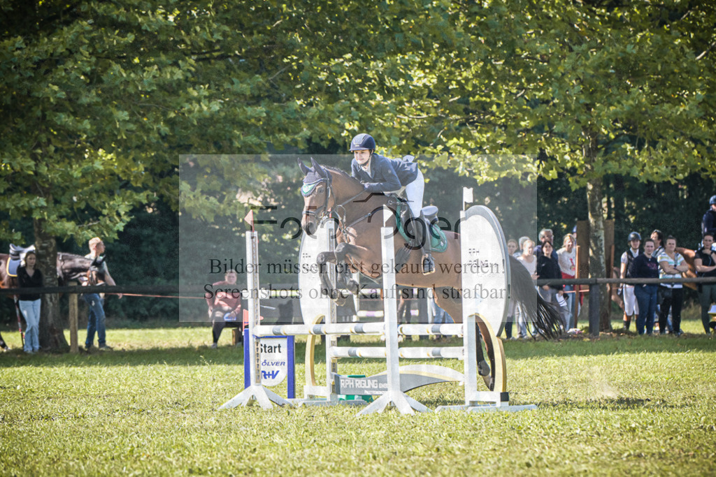 DOS_0749 | Entdecke hochwertige Reitturnierfotos von Foto Oger. Professionell, emotional und authentisch – jetzt Lieblingsmomente im Shop bestellen.Deutschlandweite Turnierfotografie. - Realisiert mit Pictrs.com