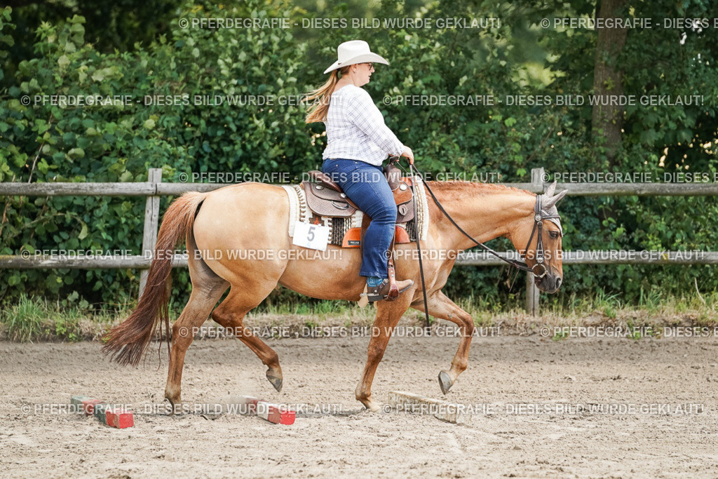 DSC07843 | Pferdegrafie