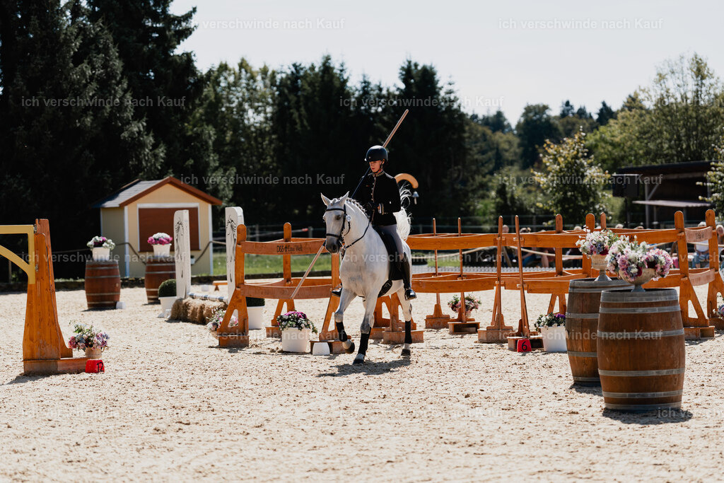 Virginie12FHC2025-08585 | working equitationturnier fotograf videograf stoibphotography marixx film working equitation deutschland reitsport turnierfotografie eventfotografie equestrian events