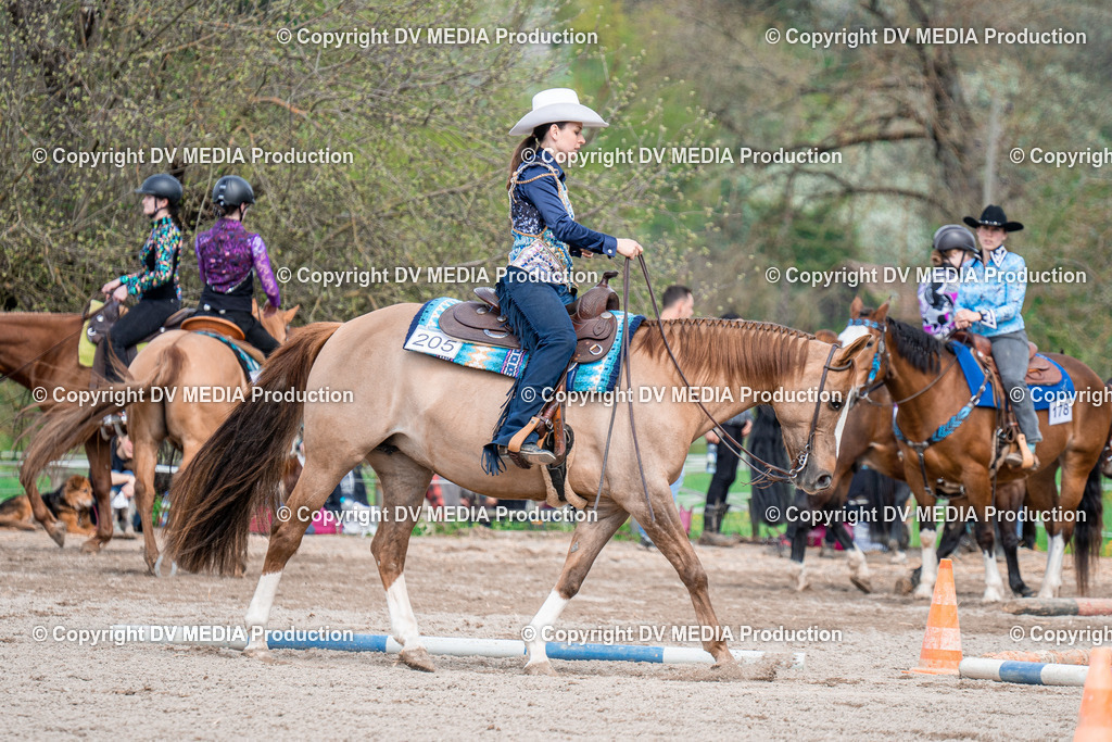 BAL02479 | dv-media-shop - Realisiert mit Pictrs.com