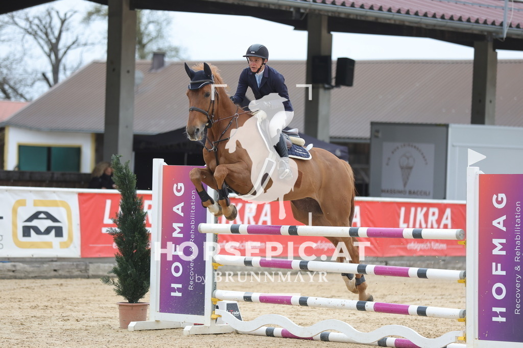 0P6A3846 | Willkommen bei Brunnmayr - Design & Fotografie – Ihrem Spezialisten für Reitturniere und Pferdeveranstaltungen in Oberösterreich, Salzburg und Bayern! Seit über 17 Jahren sind wir leidenschaftlich dabei.