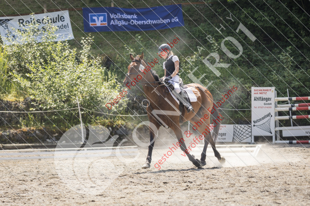 IMG_4566 | Sport-, Event- und Tierfotos in Profiqualität. Einfach auswählen, bestellen und herunterladen. Dein Moment – perfekt festgehalten.
