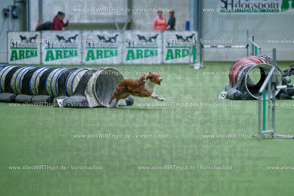 @allesWIRTHgut_Tierfotografie - www.allesWIRTHgut.de - 2604251057-7R500661 | Professionelle Tierfotografie in Mönchengladbach von Daniel Wirth (allesWIRTHgut). Liebevolle & natürliche Bilder von Hunden & Katzen für unvergessliche Erinnerungen.
