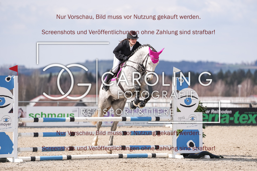 DSC05476 | Late_entry_Springturnier_Bad_Wurzach, Paula_Igelmaier, Viva_la_Diva_14