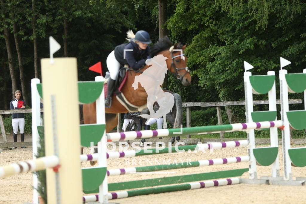 DL2Q7654 | Willkommen bei Brunnmayr - Design & Fotografie – Ihrem Spezialisten für Reitturniere und Pferdeveranstaltungen in Oberösterreich, Salzburg und Bayern! Seit über 17 Jahren sind wir leidenschaftlich dabei.