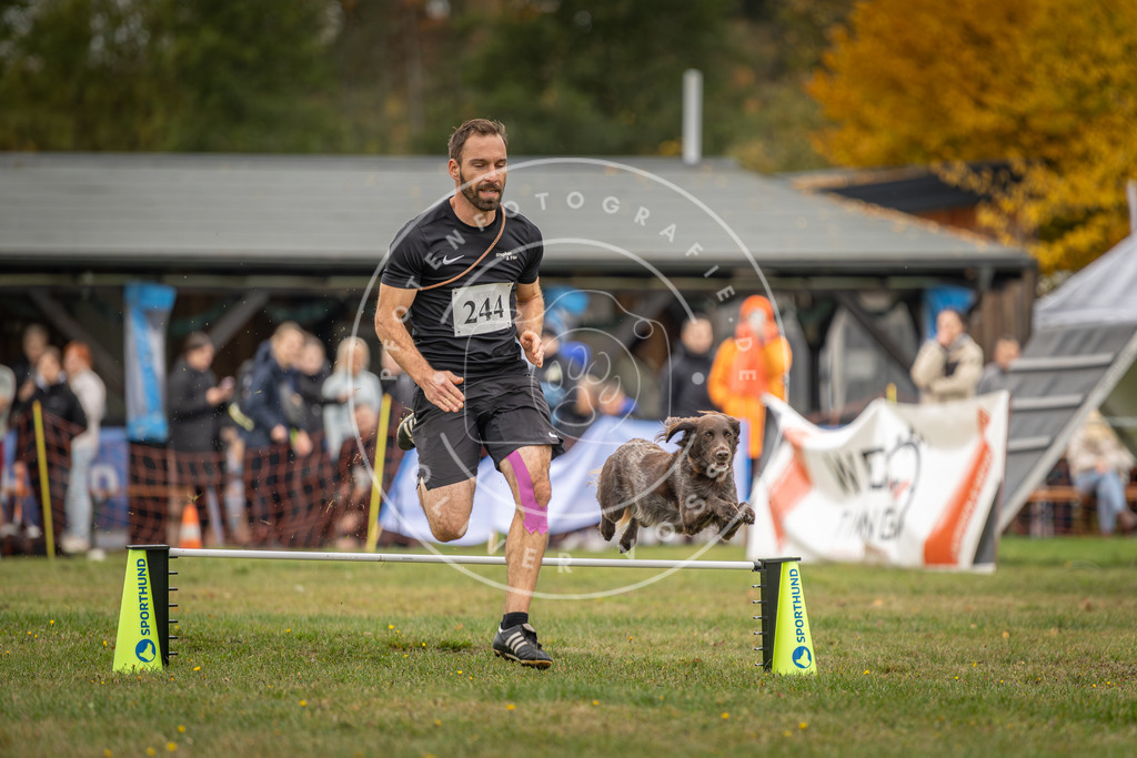 Pfotenfotografie_DV3A5086 | Hundefotografie, Tierfotograf, Pfotenfotografie, Fotoshooting Hund, Hunde Portrait, Hundesport, Hundeportraits, Heideshooting, Hunde, Sportfotograf, Hundefotograf, Turnierhundsport, THS,  - Realisiert mit Pictrs.com