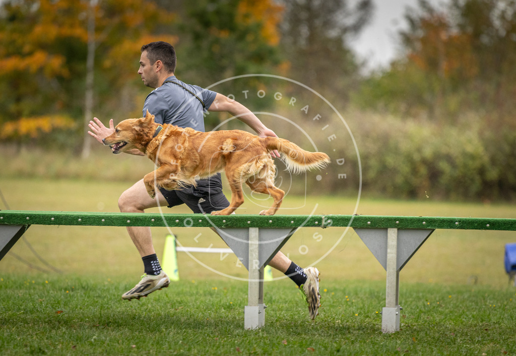 Pfotenfotografie_DV3A9938 | Hundefotografie, Tierfotograf, Pfotenfotografie, Fotoshooting Hund, Hunde Portrait, Hundesport, Hundeportraits, Heideshooting, Hunde, Sportfotograf, Hundefotograf, Turnierhundsport, THS,  - Realisiert mit Pictrs.com