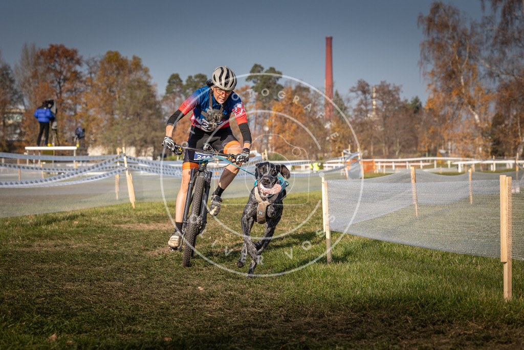 CaniXpix_0L8A7045 | Hundefotografie, Tierfotograf, Pfotenfotografie, Fotoshooting Hund, Hunde Portrait, Hundesport, Hundeportraits, Heideshooting, Hunde, Sportfotograf, Hundefotograf, Turnierhundsport, THS,  - Realisiert mit Pictrs.com