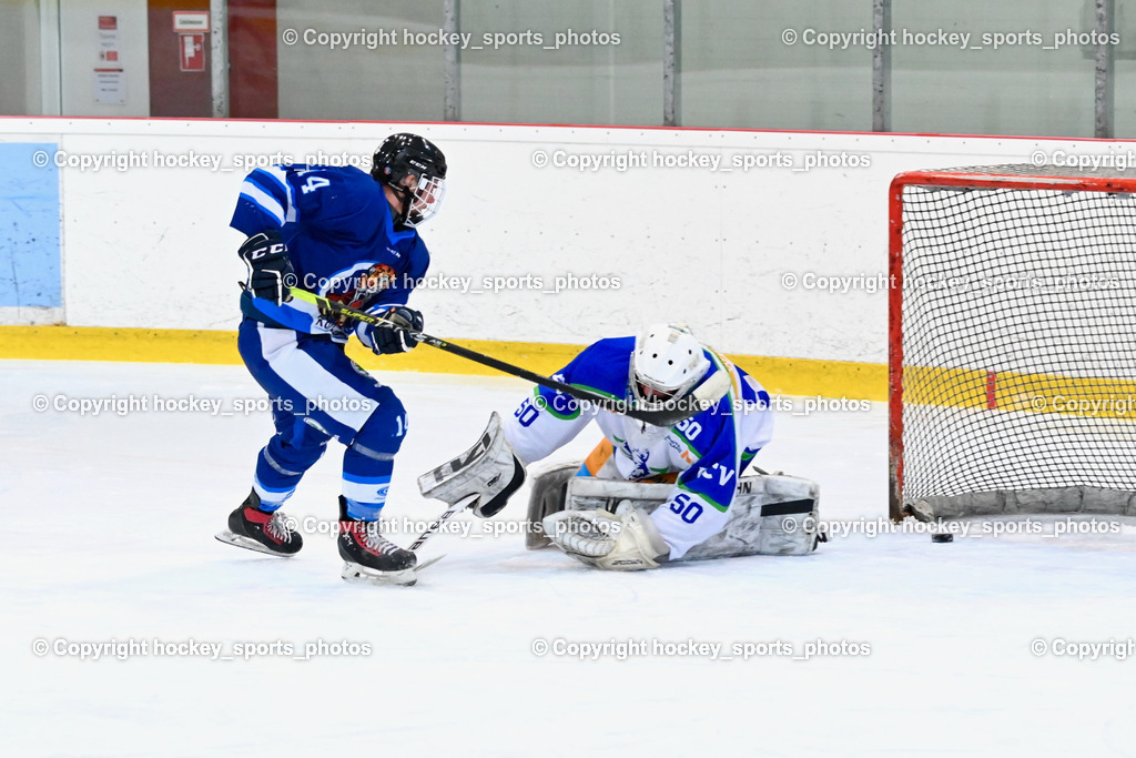  EC Tigers Paternion vs. EC Virgen 8.1.2022 | #14 Tschurnig Daniel, #50 Berger Matthias, Tor EC Tigers Paternion