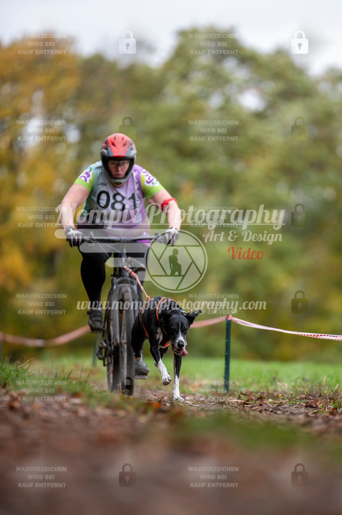 DBT_DAKM_SA_4_11_2023_Bike-29 | PayLife