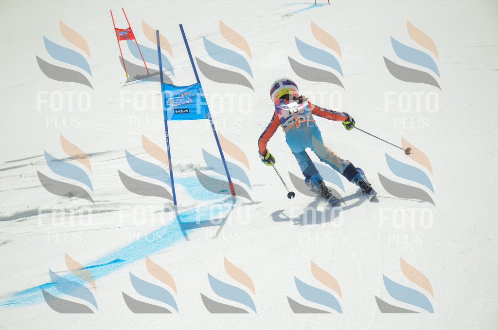 _ELE4557 | holidayphoto