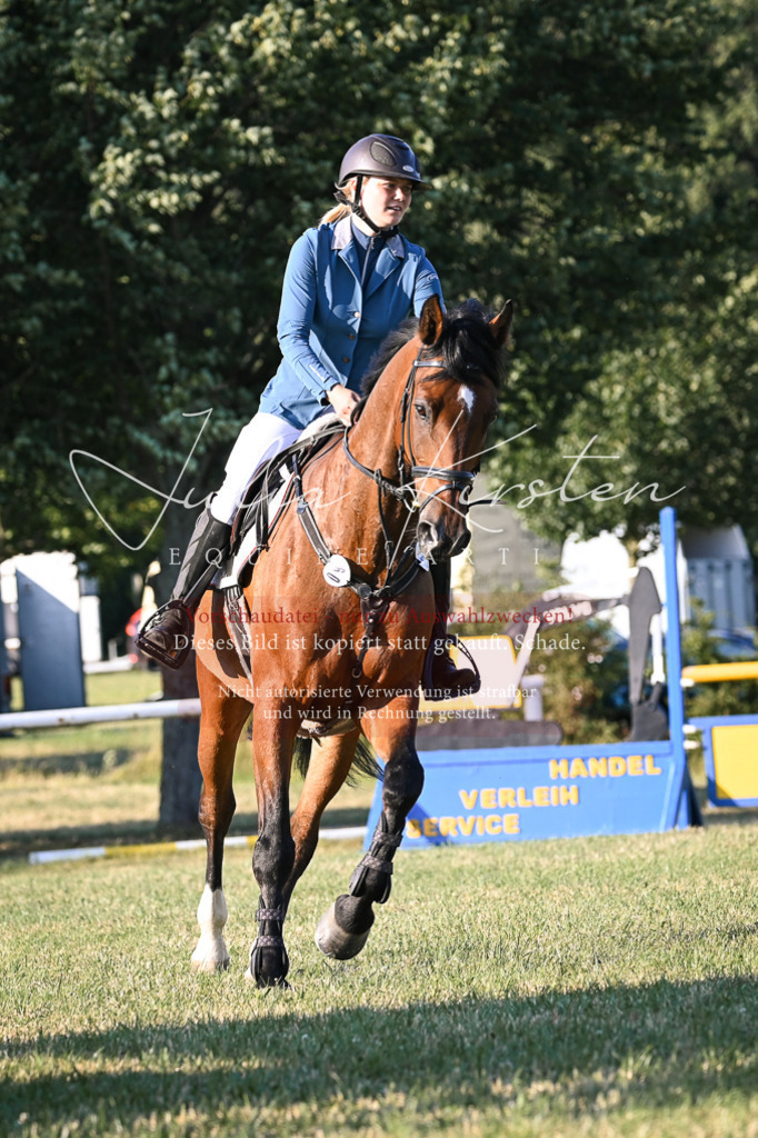 DSC_1786 | Pferde- und Turnierfotografie in Westsachsen. Pferdeportraits, Auftragszeichnungen und intuitive Kunst.