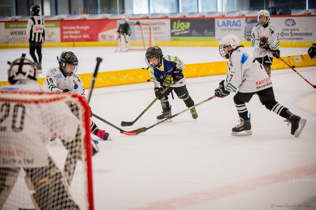 DSC_1578 | "Fussifoto.com – Ihr Ansprechpartner für hochwertige Fotografie! Entdecken Sie kreative Bilder und professionelle Dienstleistungen. Kontaktieren Sie uns für Ihre Projekte!"