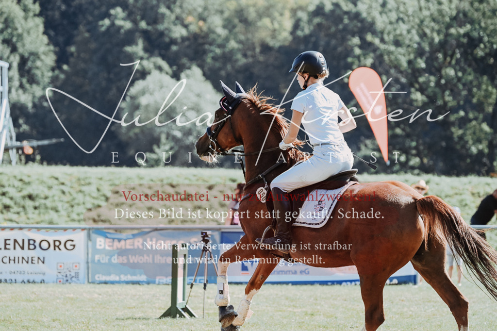 DSC_6410 | Pferde- und Turnierfotografie in Westsachsen. Pferdeportraits, Auftragszeichnungen und intuitive Kunst.