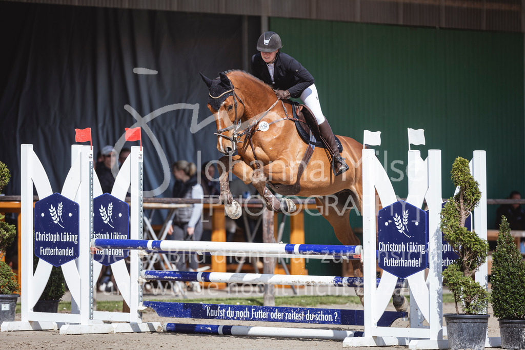 250419_Frühlingsfest_A-Stil1-454 | Deine schönsten Turniermomente als professionelle Fotos! Entdecke hochwertige Pferdesport-Fotografie im Online-Shop. Jetzt Fotos finden & bestellen!