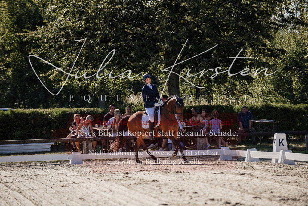 DSC_0277 | Pferde- und Turnierfotografie in Westsachsen. Pferdeportraits, Auftragszeichnungen und intuitive Kunst.