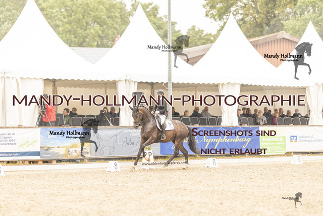 SW 4-872 | mandyhollmannphotographie