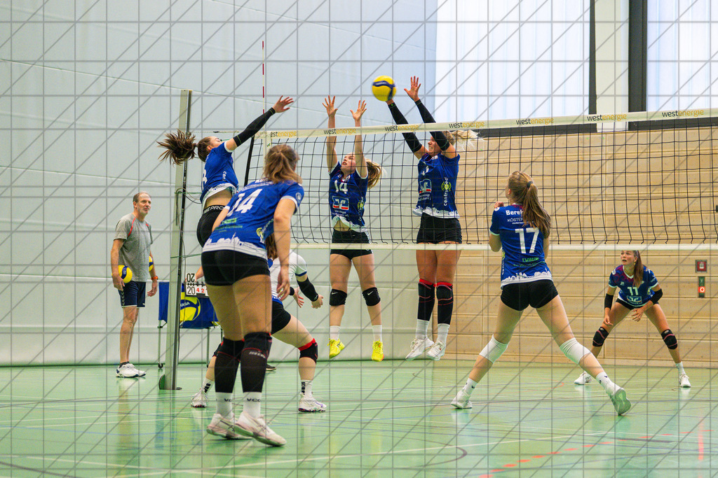 2. VBL Nord 25/26 | VC Osnabrück | Trainingsimpressionen | //  01.09.25: 2. VBL Nord 25/26 | VC Osnabrück | Trainingsimpressionen / Osnabrück / Deutschland  //   CREDIT:www.bullenfotos.de, Martin König, Hörner Weg 40, D-49078 Osnabrück, +4917663732967 // Nutzung und Weitergabe nur zu den vereinbarten Zwecken. Presseanfragen an Ersteller. Alle Rechte beim Ersteller. Honorierung nach MFM. - Realisiert mit Pictrs.com