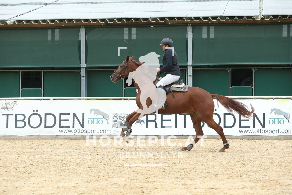 DL2Q7620 | Willkommen bei Brunnmayr - Design & Fotografie – Ihrem Spezialisten für Reitturniere und Pferdeveranstaltungen in Oberösterreich, Salzburg und Bayern! Seit über 17 Jahren sind wir leidenschaftlich dabei.