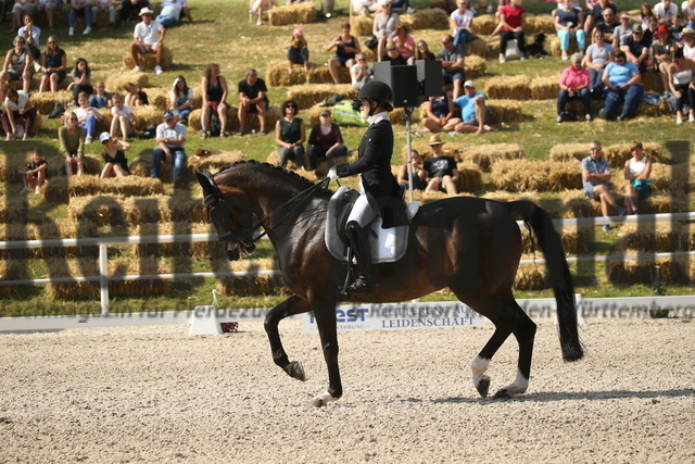 Birkhof_2022_GrandPrixSpecial_Franziska Stieglmaier_DSP Dauphin (10) | Alle Fotos der Reiterjournal Fotografin Doris Matthaes im Reiterjournal Online-Fotoshop. - Realisiert mit Pictrs.com